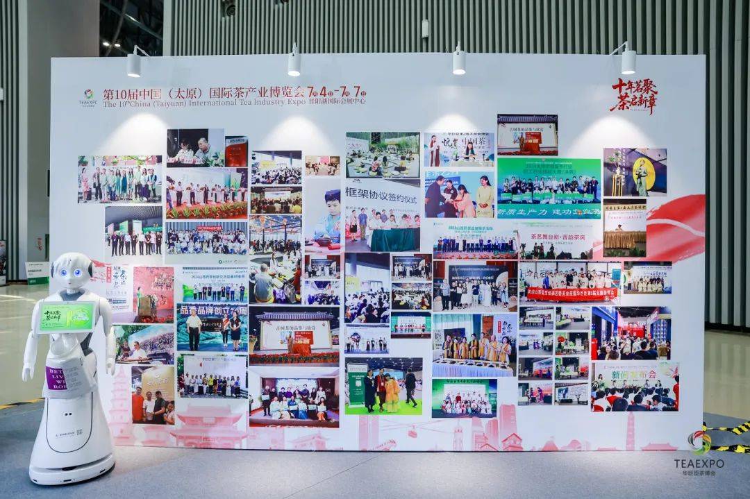 香港猫博会2026今日开幕,350余家展商打造猫咪主题消费盛宴